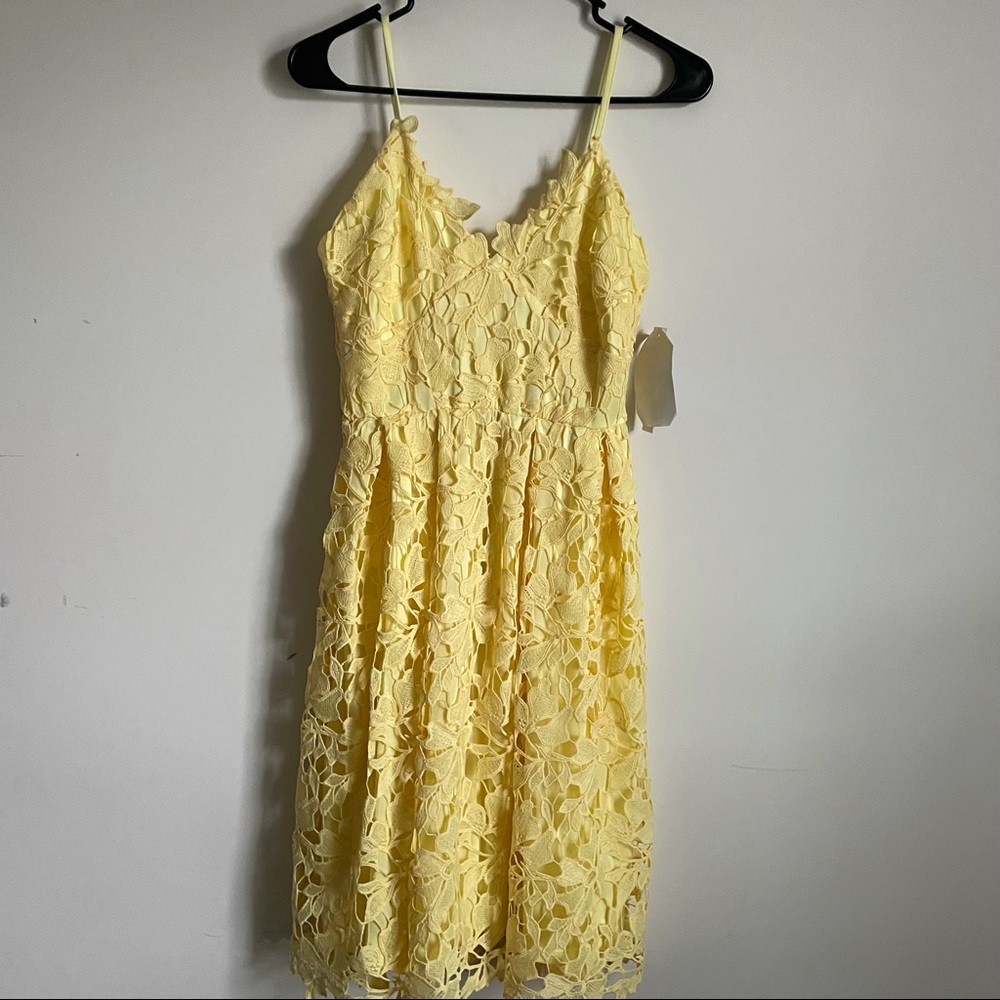 Floral Lace Design Dress